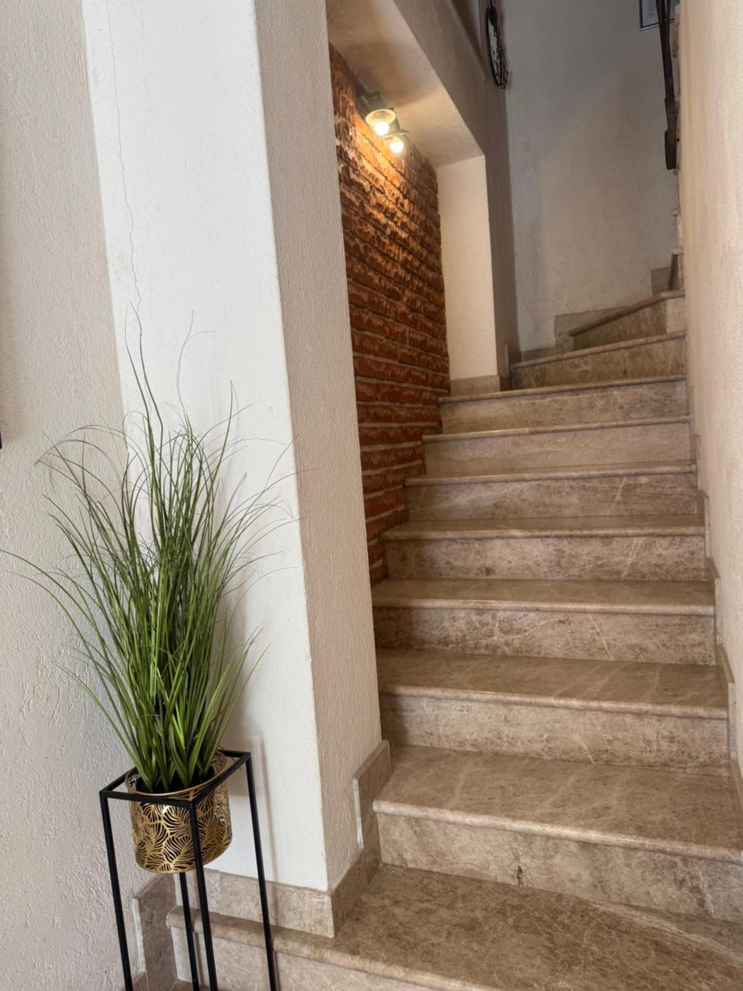 Skver Studio Apartments Herceg Novi Exterior photo